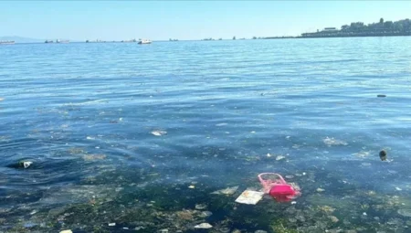 Bebek Sahili’nde Deniz Kirliliği Büyüyor: Vatandaşlardan Sert Tepki