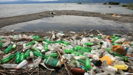 Akdeniz kıyılarında alarm veren kirlilik: Plastik atık oranı son 10 yılın zirvesinde
