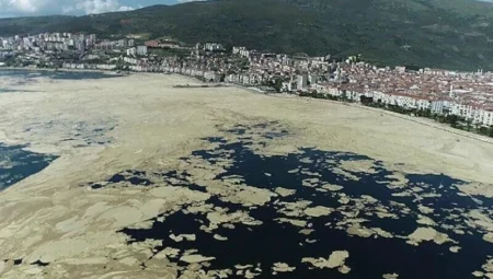 Karadeniz kıyılarında deniz salyası yeniden ortaya çıktı: Bilim insanları uyarıyor
