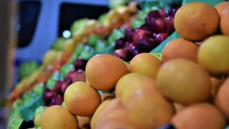 Türkiye’nin Her Bölgesine Uygun Kazançlı Meyve ve Sebzeler Açıklandı