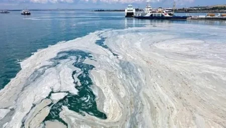 Marmara Denizi’nde Müsilaj Tehlikesi Geri Döndü: Uzmanlardan Erken Uyarı