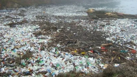 Plastiklerdeki ‘Gizli Tehlike’: Milyonlarca Ölümle Bağlantılı Kimyasal Gündemde