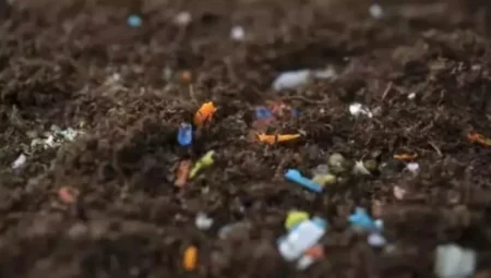 Tarım Yoluyla Soframıza Giren Mikroplastikler İnsan Sağlığını Sessizce Tehdit Ediyor