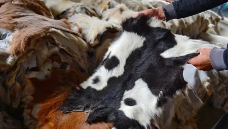Kurban Bayramı’nda 3 Milyon Deri Zayi Oldu: 20 Milyar Liralık Potansiyel Ekonomiye Katılamadı