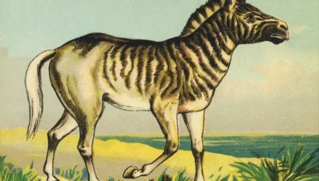 Hem zebra hem at gibi görünüyordu: Quagga’nın son bireyi 1883’te öldü