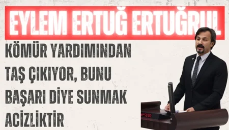 CHP’li Eylem Ertuğ Ertuğrul: ‘Kömür yardımından taş çıkıyor, bunu başarı diye sunmak acizliktir’
