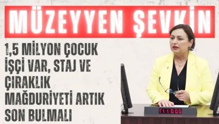 CHP’li Müzeyyen Şevkin: ‘1,5 milyon çocuk işçi var, staj ve çıraklık mağduriyeti artık son bulmalı’