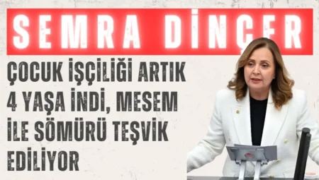 CHP’li Semra Dinçer: ‘Çocuk işçiliği artık 4 yaşa indi, MESEM ile sömürü teşvik ediliyor’