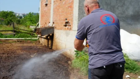 Düzce’de korkutan uyarı: ‘Asya Kaplan Sivrisineği’ alarmı verildi!